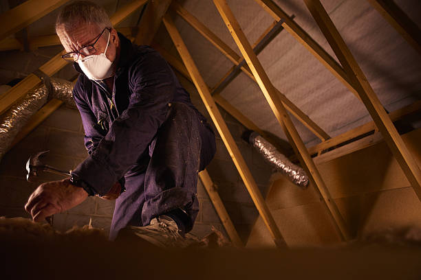 Best Types of Insulation in Louisville, NE